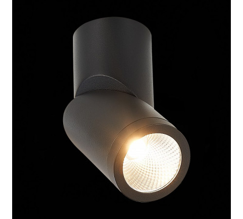 Светодиодный спот ST Luce ST650.432.10 Светодиодный спот ST Luce ST650.432.10