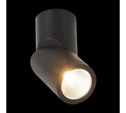 Светодиодный спот ST Luce ST650.442.10 Светодиодный спот ST Luce ST650.442.10