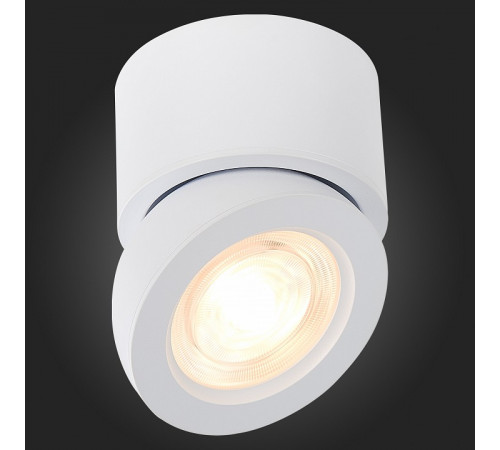 Светодиодный спот ST Luce ST654.532.10