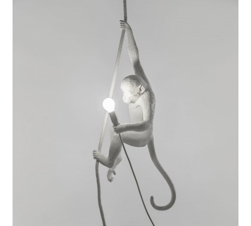 Подвесной светильник Seletti Monkey Lamp 14883
