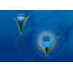 Светильник на солнечных батареях (UL-00004279) Uniel Promo USL-C-454/PT305 Blue Tulip