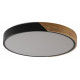 Потолочный светильник Zortes Alberro ZRS.01237.90