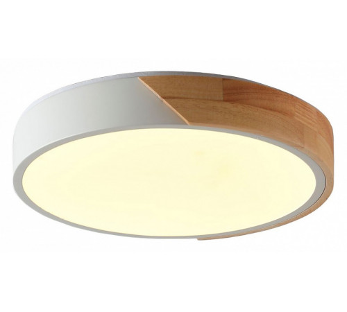 Потолочный светильник Zortes Alberro ZRS.01239.90 Потолочный светильник Zortes Alberro ZRS.01239.90