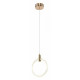 Подвесной светильник Zortes Ringer ZRS.57792.17