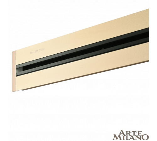Встраиваемый шинопровод с выключателем Arte Milano Am-track-sockets 385201TBB/100 Gold