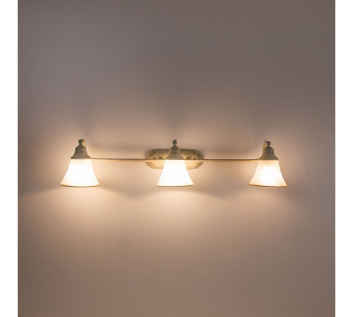 Спот Citilux Прованс CL511534