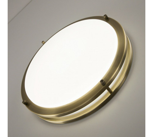 Потолочный светильник Citilux Бостон CL709323N
