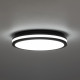 Потолочный светильник Citilux Luns CL711021V