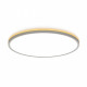 Потолочный светильник Citilux Norma CL748500