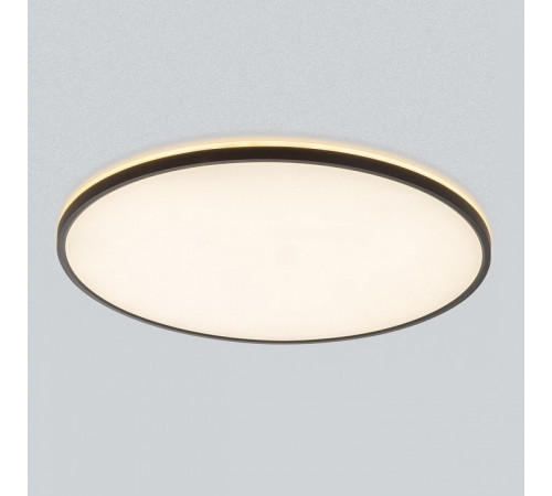Потолочный светильник Citilux Norma CL748601