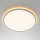 Потолочный светильник Citilux Norma LED RGB CL749400