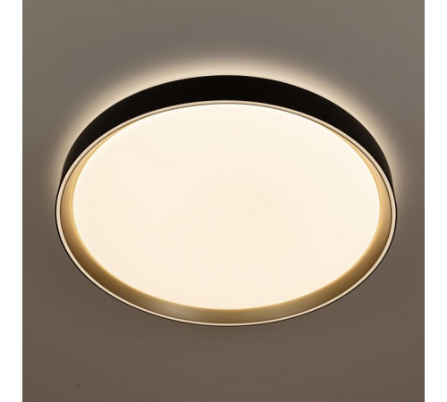 Потолочный светильник Citilux Boss CL751451G Потолочный светильник Citilux Boss CL751451G