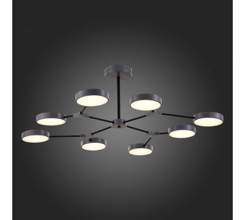 Потолочный светильник Evoluce Monta SLE6003-702-08