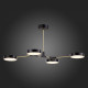 Потолочный светильник Evoluce Monta SLE6004-402-04