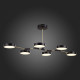 Потолочный светильник Evoluce Monta SLE6004-402-06