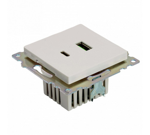 Розетка 2-местная USB + type C Stekker Катрин GLS10-7116-01 50051