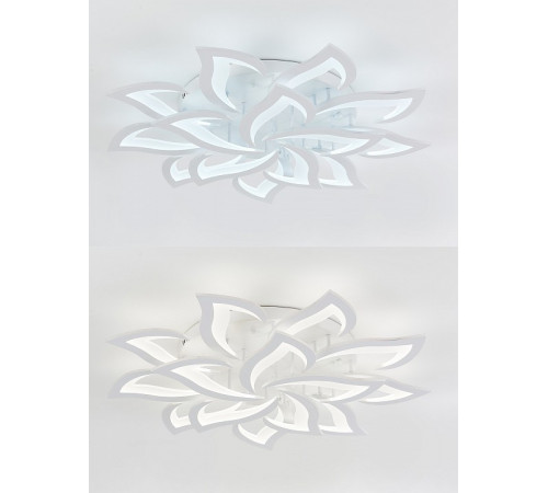 Потолочная светодиодная люстра Natali Kovaltseva Olimp LED LAMPS 81335-74067