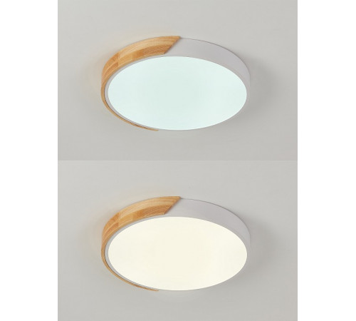 Потолочный светильник Natali Kovaltseva Scandinavian LED LAMPS 81181 Потолочный светильник Natali Kovaltseva Scandinavian LED LAMPS 81181