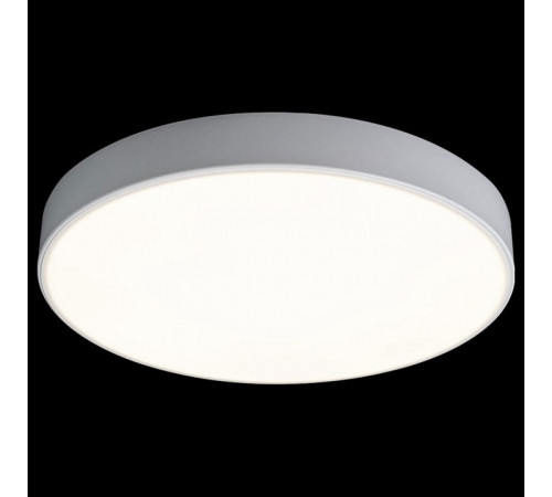 Потолочный светильник Loft IT AXEL 10002/24 White Потолочный светильник Loft IT AXEL 10002/24 White