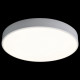 Потолочный светильник Loft IT AXEL 10002/24 White