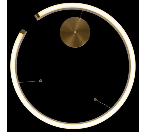 Подвесной светодиодный светильник Loft IT Ring 10013L
