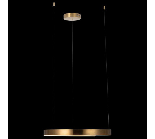 Подвесной светодиодный светильник Loft IT Ring 10013M