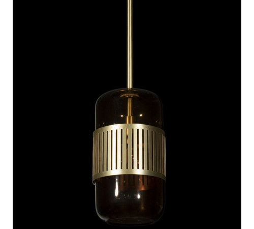 Подвесной светильник Loft IT Hudson 10098P