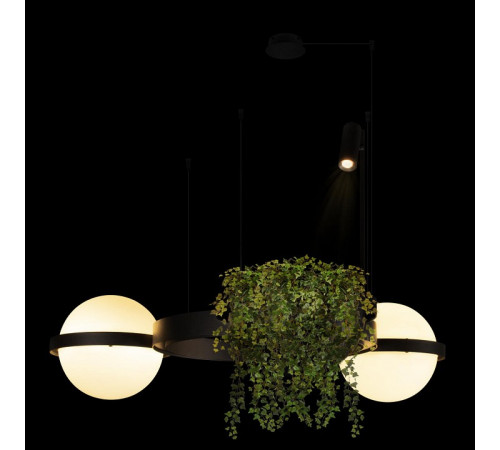 Торшер Loft IT Jardin 10121/F Dark grey Торшер Loft IT Jardin 10121/F Dark grey