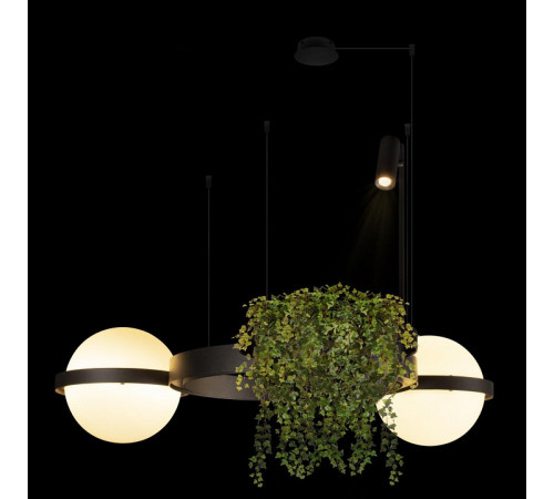 Подвесная люстра Loft IT Jardin 10121/2 Dark grey Подвесная люстра Loft IT Jardin 10121/2 Dark grey