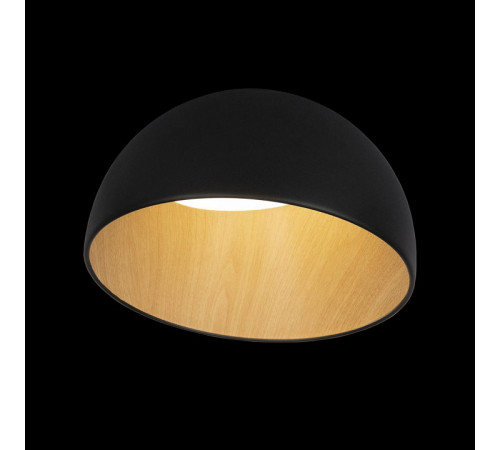 Потолочный светильник Loft IT Egg 10197/350 Black Потолочный светильник Loft IT Egg 10197/350 Black
