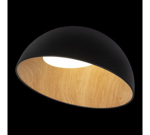 Потолочный светильник Loft IT Egg 10197/500 Black