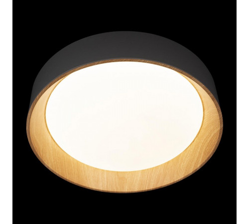 Потолочный светильник Loft IT Coin 10202 Grey