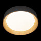 Потолочный светильник Loft IT Coin 10202 Grey
