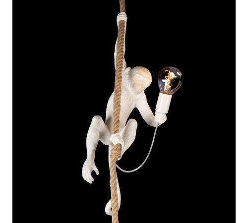 Подвесной светильник Loft IT Monkey 10314P