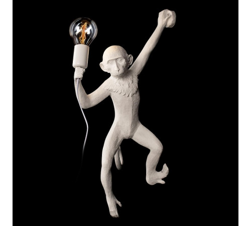 Настенный светильник Loft IT Monkey 10314W/A