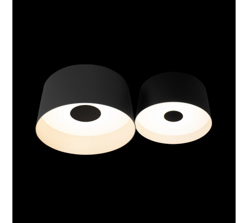 Потолочный светильник Loft IT Duo 10360/2 Потолочный светильник Loft IT Duo 10360/2