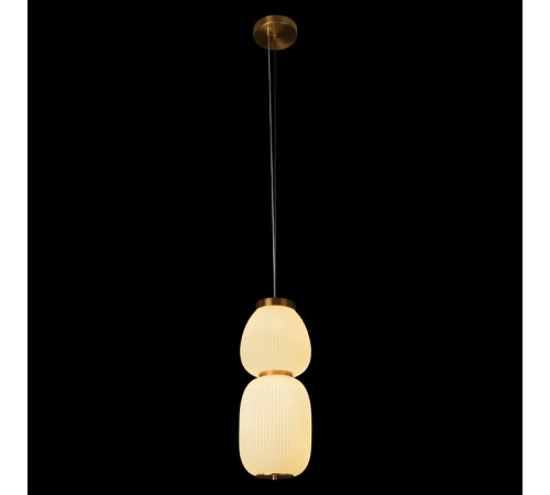 Подвесной светильник Loft IT Duff 10422/A