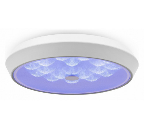 Потолочный светильник Freya Cells FR10012CL-L24W