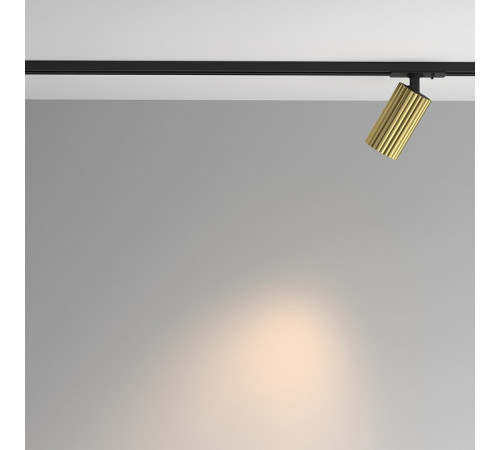 Трековый однофазный светильник Maytoni Calipso TR218-1-GU10-BS