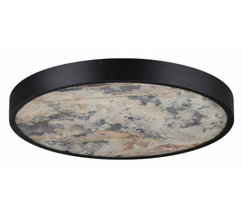 Настенно-потолочный светильник Odeon Light Bergi 5064/40L