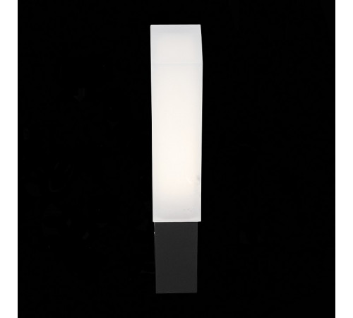 Уличный настенный светодиодный светильник ST Luce Posto SL096.411.02 Уличный настенный светодиодный светильник ST Luce Posto SL096.411.02