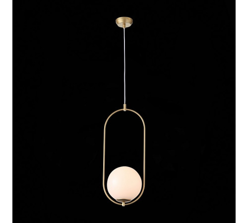 Подвесной светильник ST-Luce SL1118.203.01