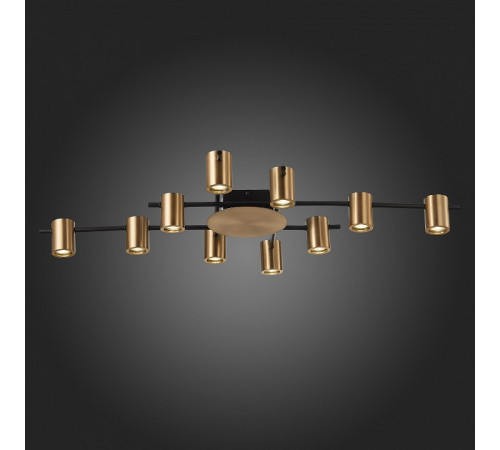 Потолочная люстра ST Luce Veroli SL1207.402.10