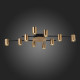 Потолочная люстра ST Luce Veroli SL1207.402.10