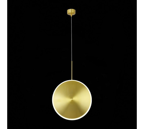 Подвесной светильник ST-Luce SL1221.213.01