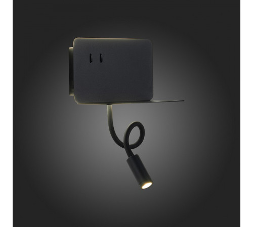 Настенный светильник ST LUCE PINAGGIO SL1576.401.02 Настенный светильник ST LUCE PINAGGIO SL1576.401.02