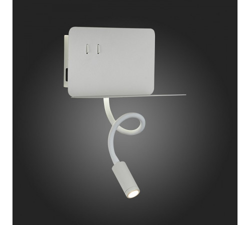Настенный светильник ST LUCE PINAGGIO SL1576.501.02 Настенный светильник ST LUCE PINAGGIO SL1576.501.02