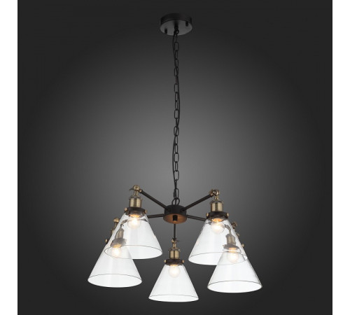 Подвесная люстра ST Luce Evoluto SL237.413.05