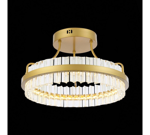 Люстра на штанге ST-Luce SL383.202.01 Люстра на штанге ST-Luce SL383.202.01