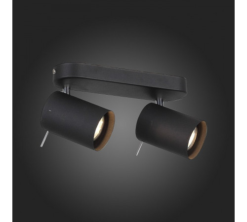 Светодиодный спот ST Luce Fanale SL597.401.02 Светодиодный спот ST Luce Fanale SL597.401.02